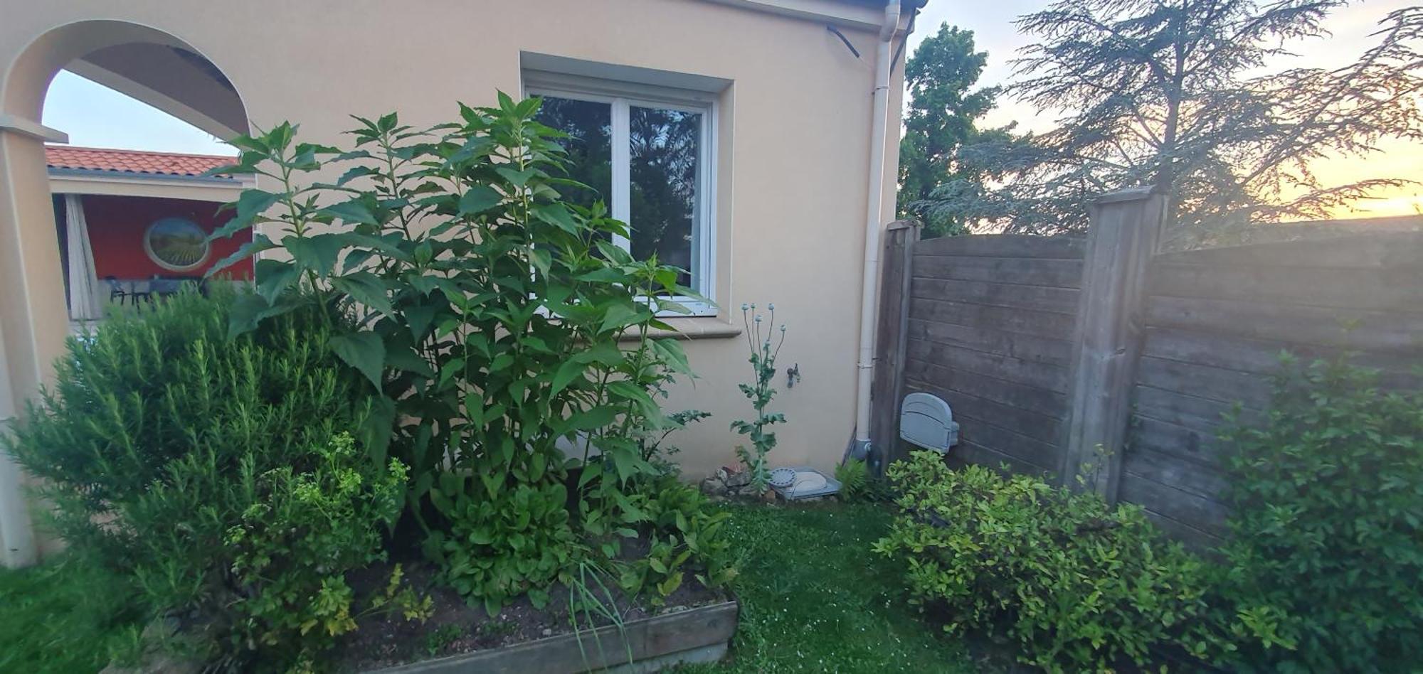 Gite Calme #2 Ou 3 Pers #Piscine #Cholet #Wifi Haut Debit #Travailleurs Thales Lacroix Et Autres Entreprises #Petits Dejeuners Et Repas Possibles Sur Demande Le May-sur-Evre Dış mekan fotoğraf